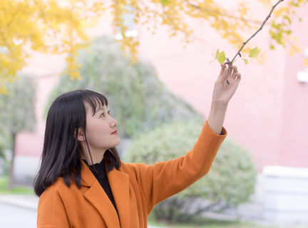 菲律宾马尼拉旅行社 旅行社能办理什么业务